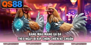 Bảng Màu Mạng Gà Đá Theo Ngày - Bí Kíp Chọn Chiến Kê Chuẩn